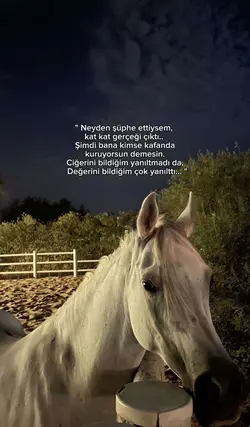 çok yanılttı 