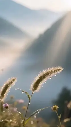 Frases motivadoras ❤️