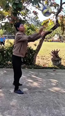 Volly