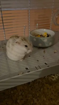 Hes so silly