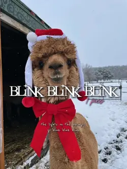 christmas is coming