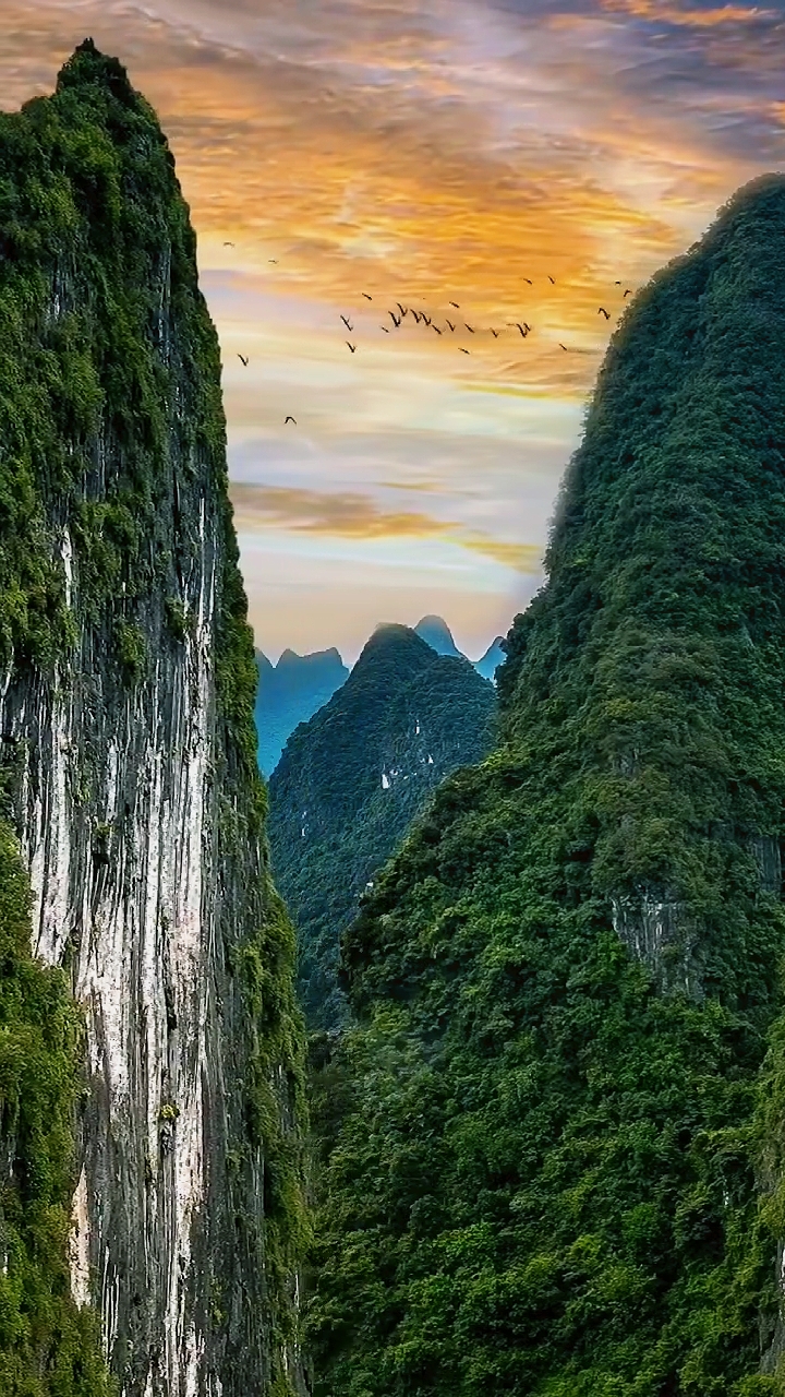cinematic nature