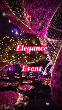 Elegance Event