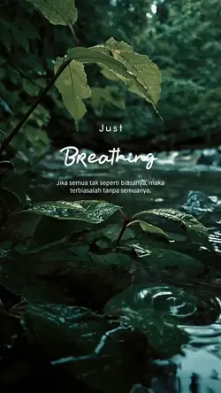 Typography aesthetic