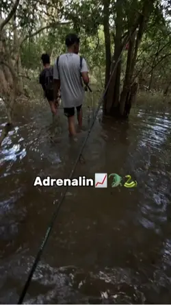 Adrenalin