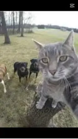 TRZEBA KLoPsy jeść!