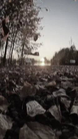 Aesthetic slowmotion