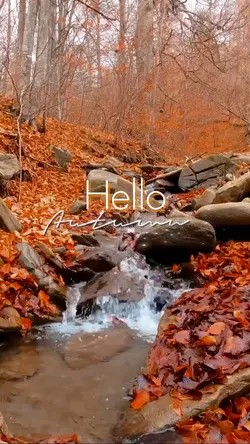 Hello Autumn