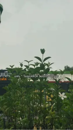 แฟนวันพฤหัสบดี