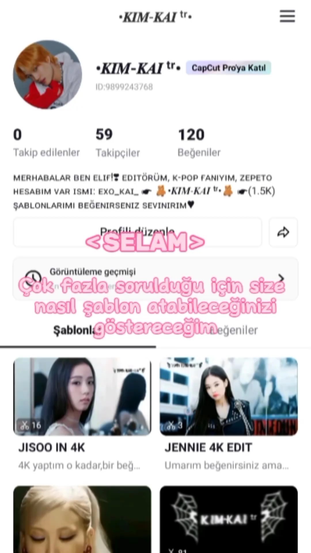 NASIL ŞABLON ATILIR?