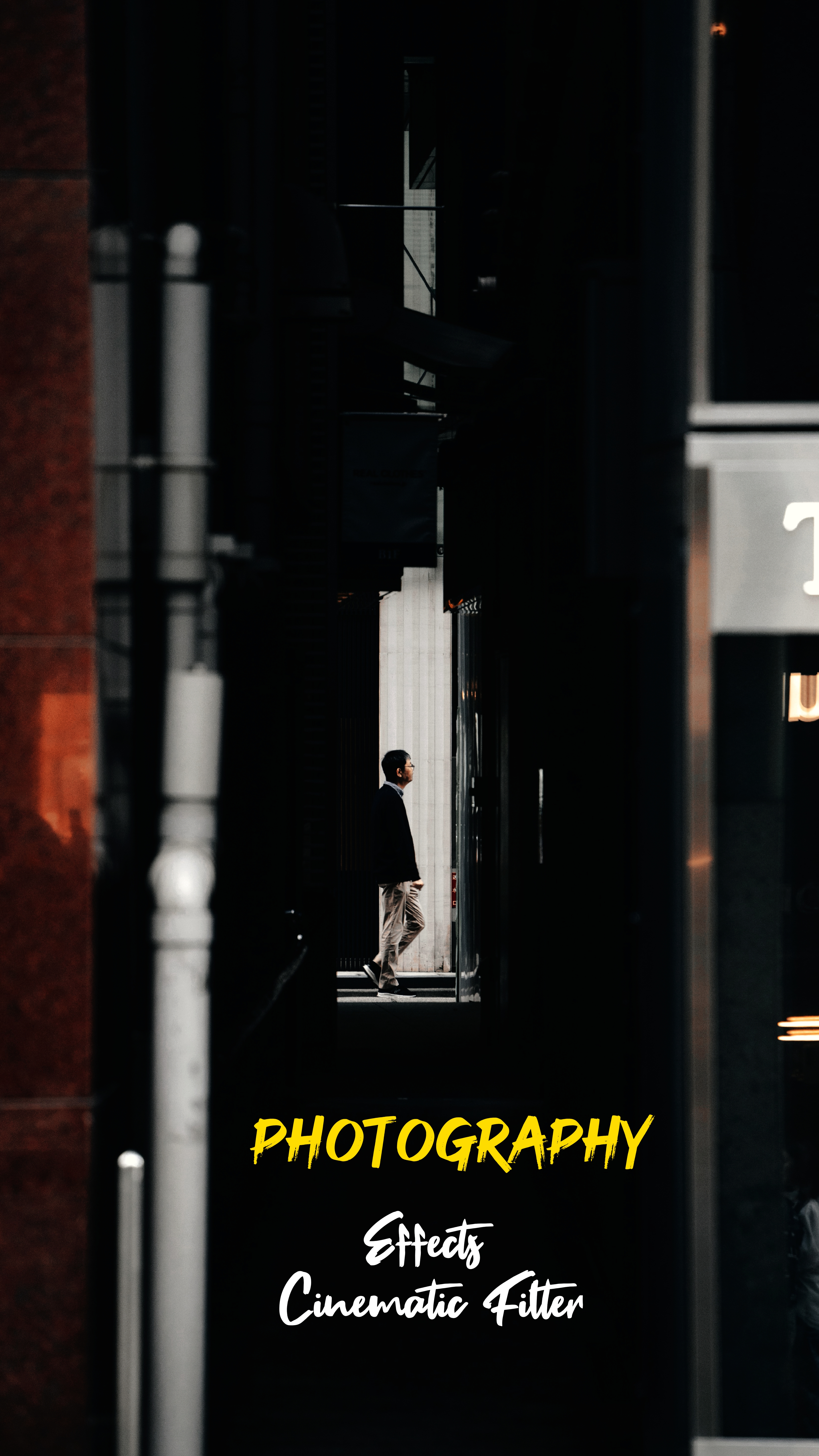 Foto del día