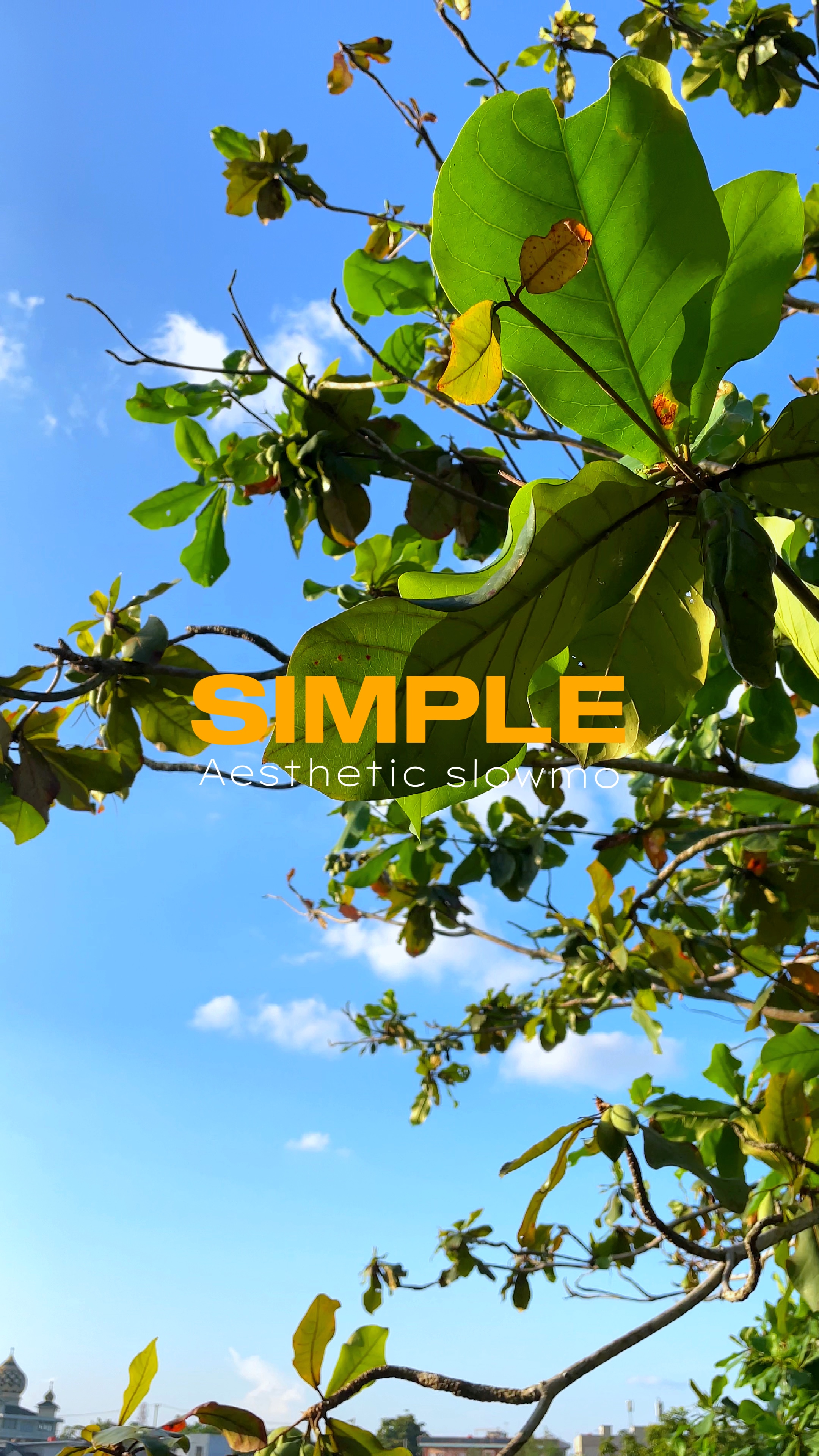 Simple transisi