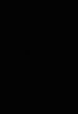 tiktok viral 