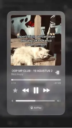 DJ THARI BEATLOOP