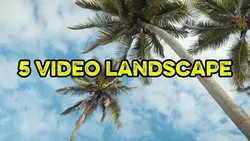 5 video landscape