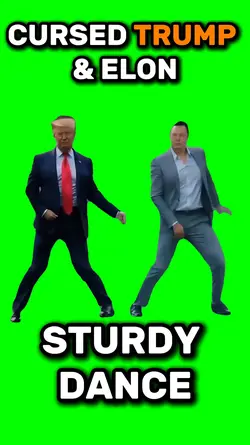 Cursed Trump & Elon 