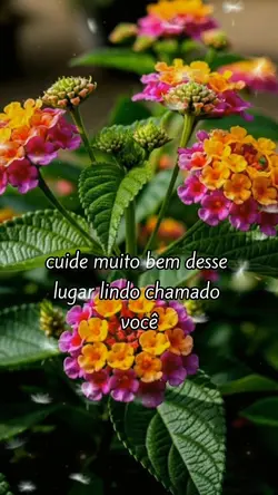 reflexão motivação
