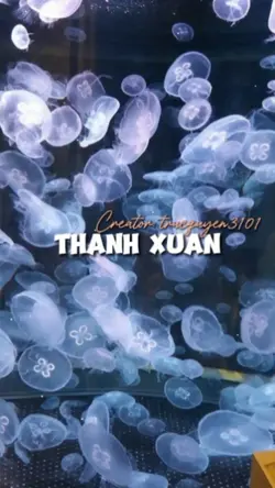 |9| Thanh Xuân