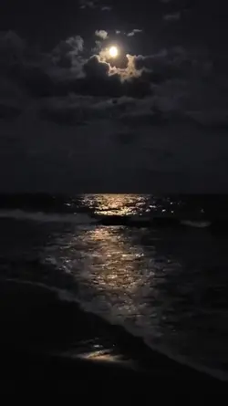 dusunurumkarakara
