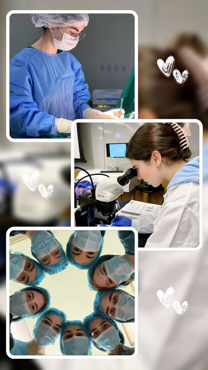 Collage Nurse