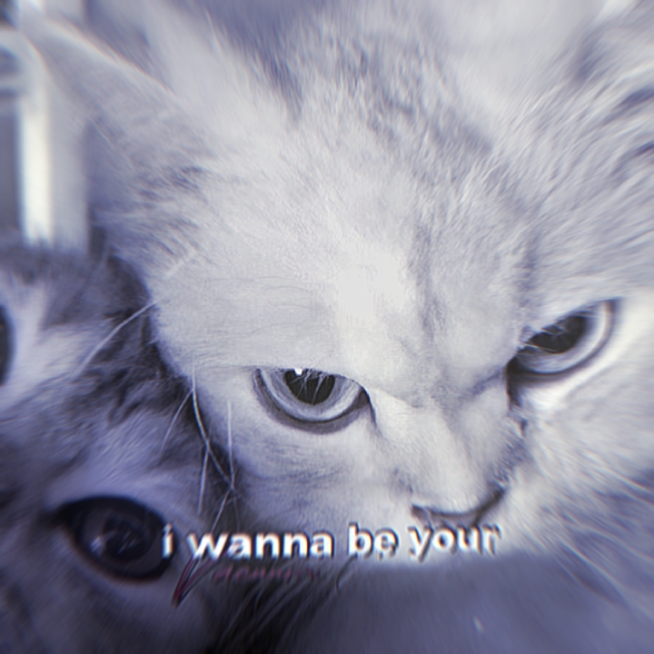 wanna be yours