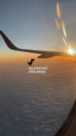 No internet enjoy