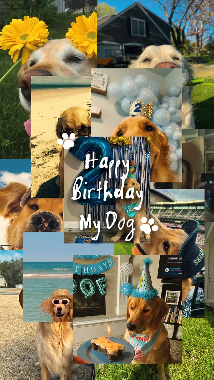 Feliz cumpleaños perro