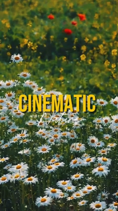 Cinemática 