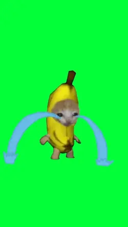 crying banana cat