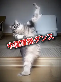 中国軍隊ダンス 写真1枚