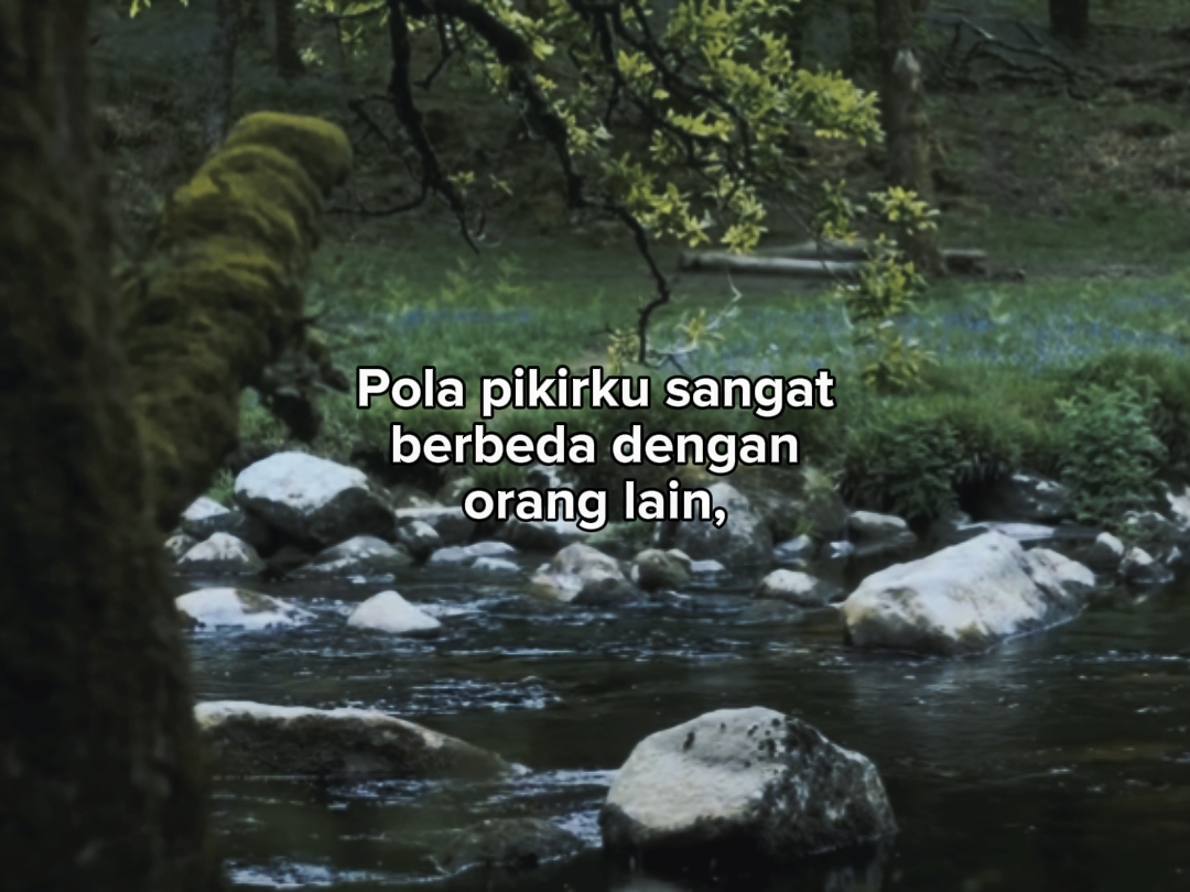 bahan Sw 448