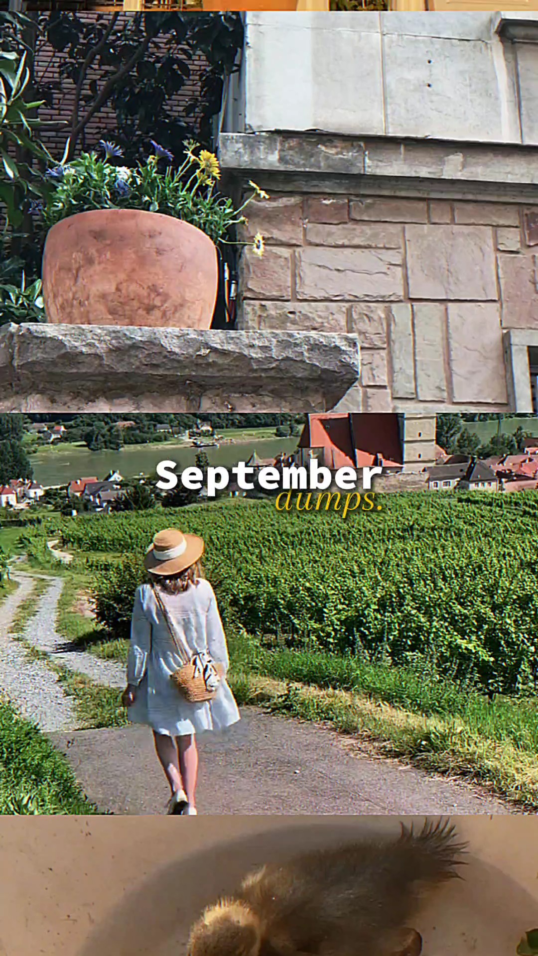 Récapitulatif de septembre