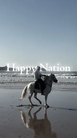 Happy Nation lyric