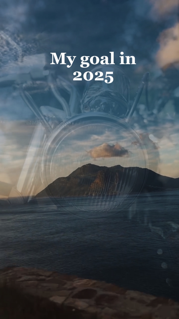 MIS Metas en 2025