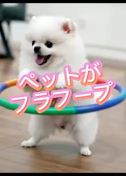 ペットがフラフープ