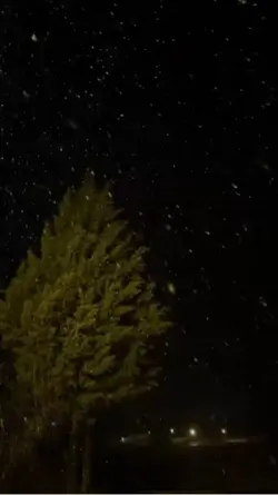 Yarınlar bizim çünkü