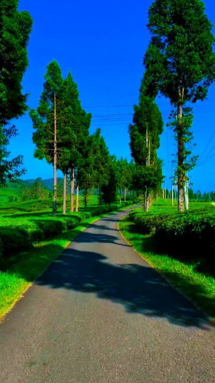 filter keren 