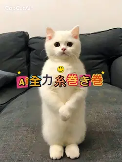 Ai全力糸巻き巻