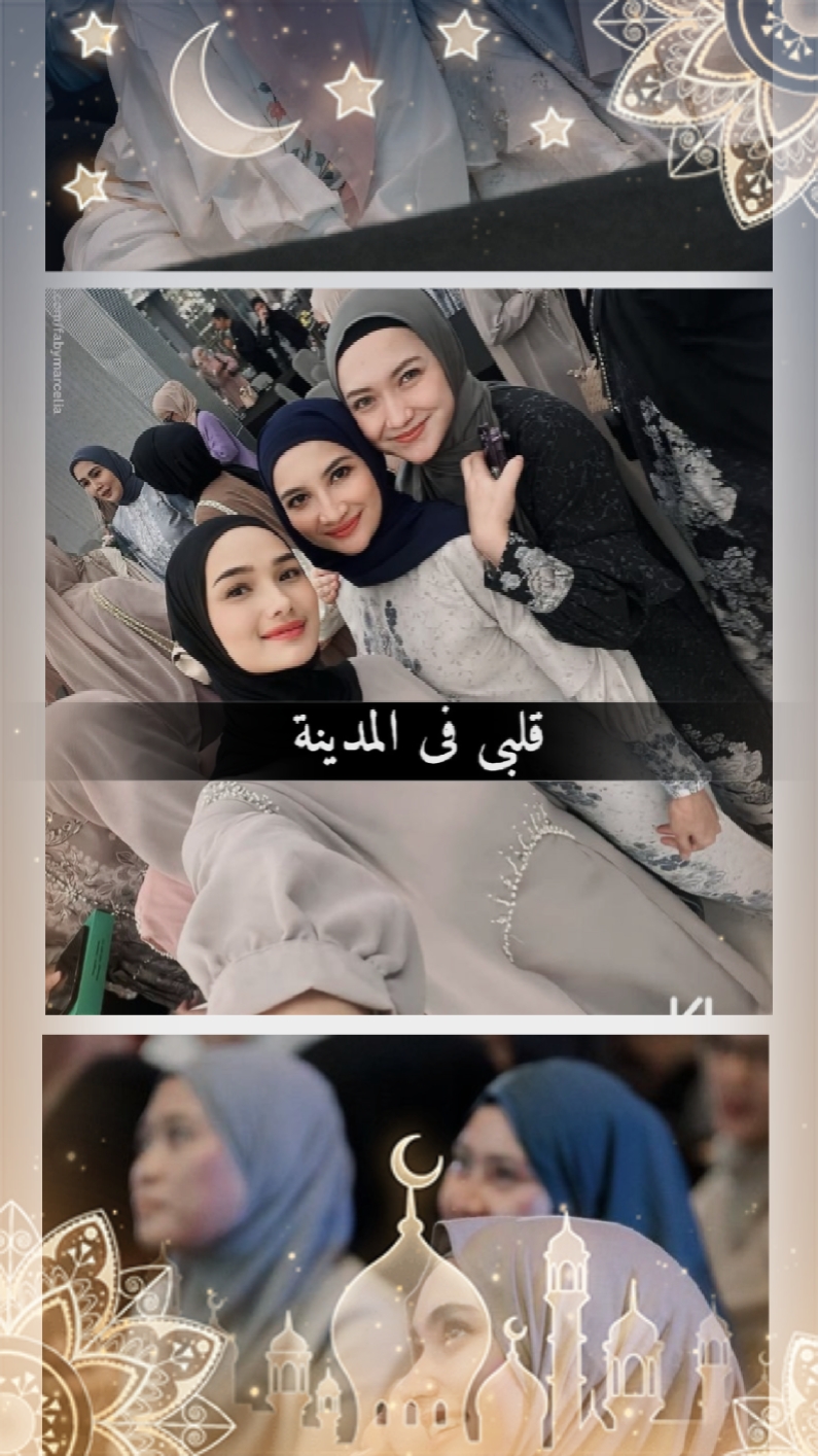 qalbi Fil Madinah 