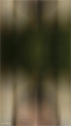 Torn Reveal: Moody Close-Up