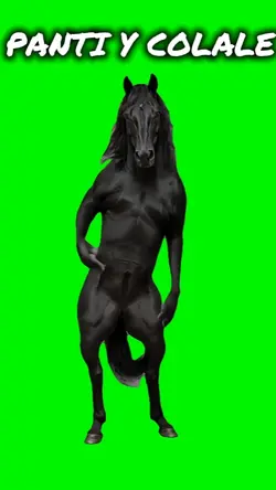 Dancing Horse