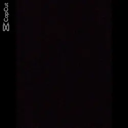 TikTok viral 
