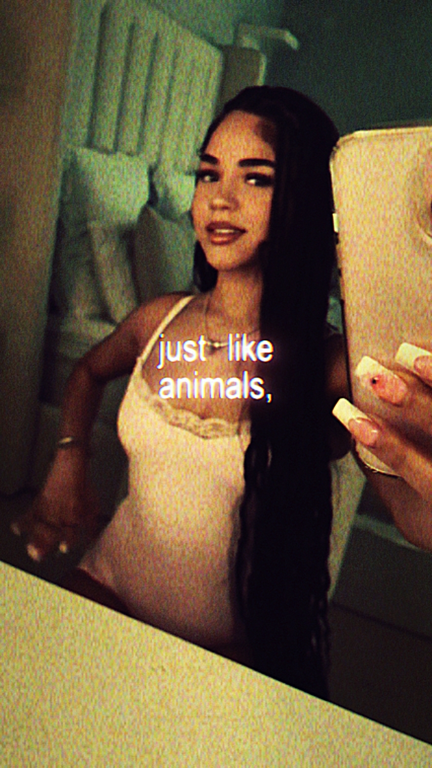 Animales