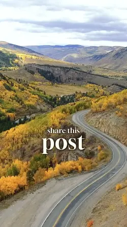 Share this post