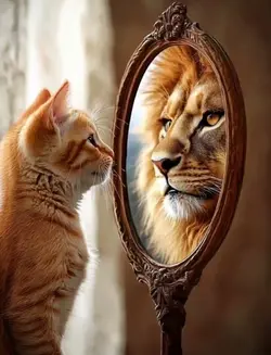 Cat And LION
