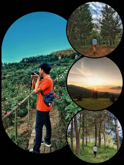 Aesthetic Frame/Grid