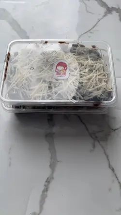 ASMR packing pesanan