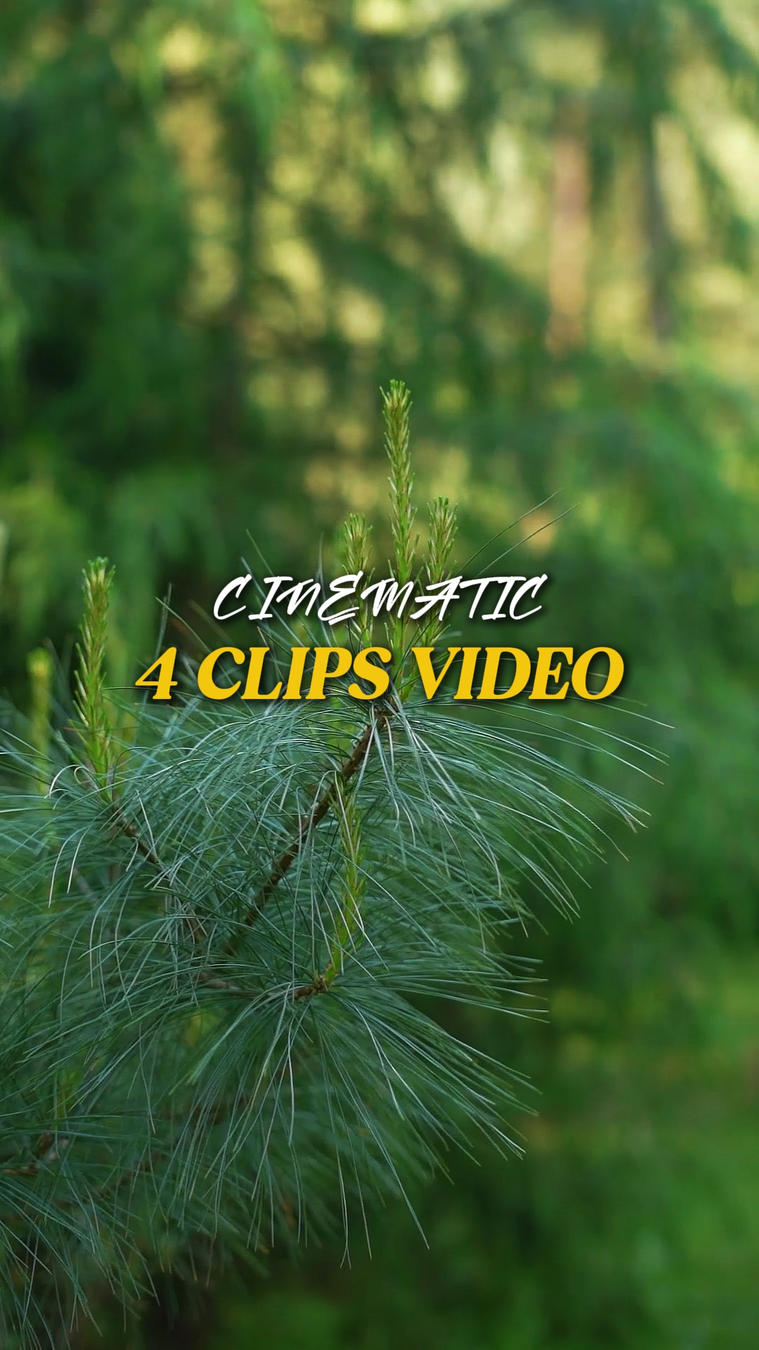 Cinematic 4 Video