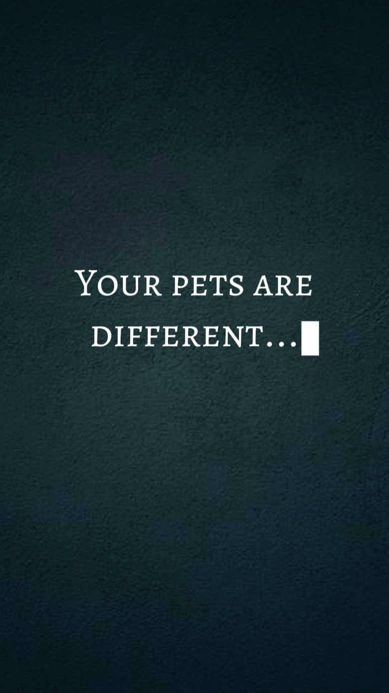Ur PETS r DIFFERENT