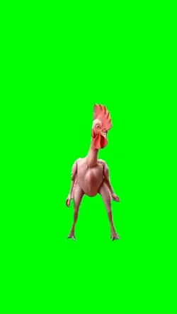 chicken dance